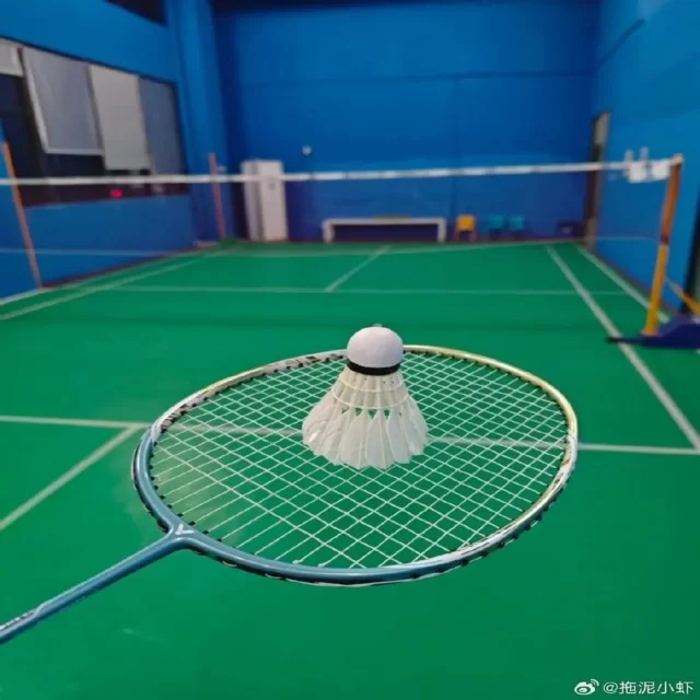 球队伤病与轮换策略：年轻化视角下的优化解读